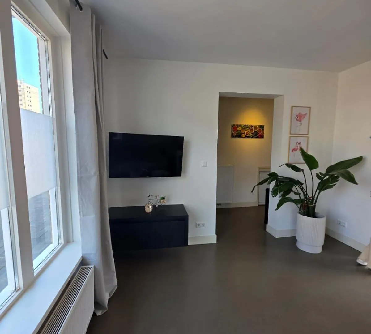Flamingo Beach Apartments Zandvoort Ολλανδία