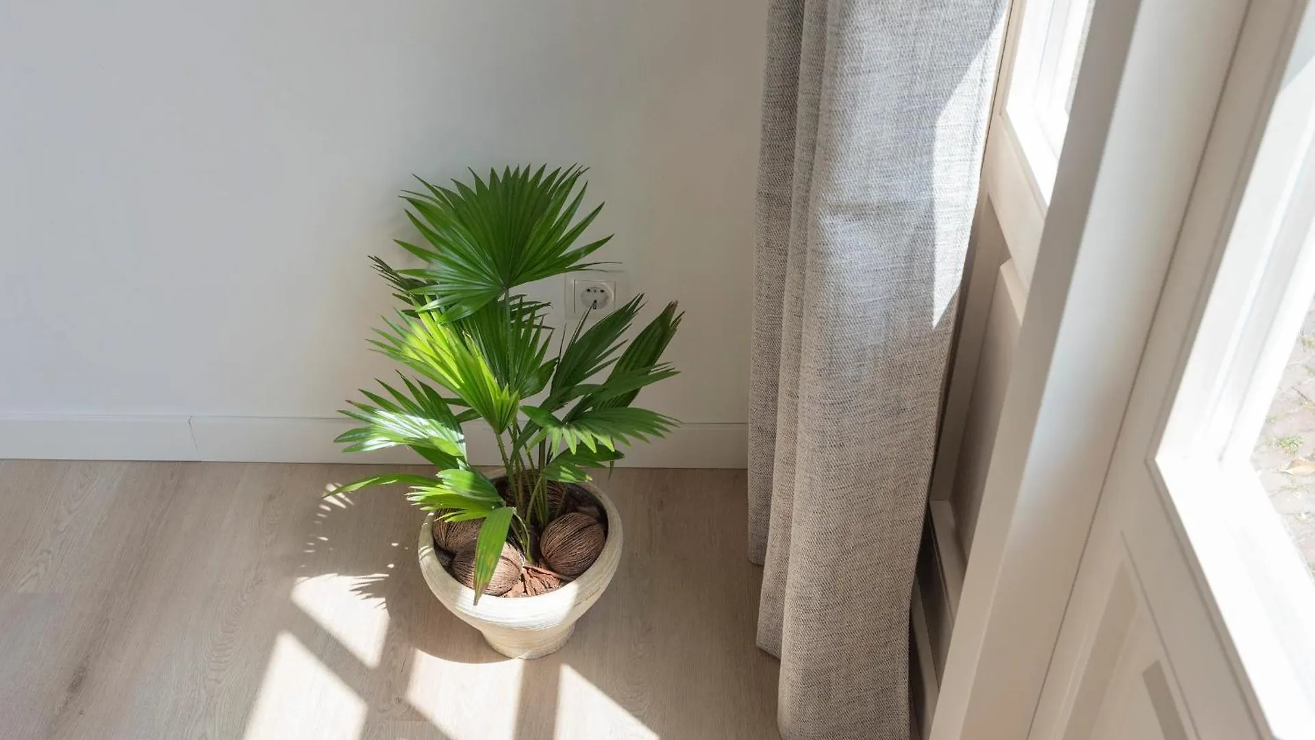Flamingo Beach Apartments Zandvoort Ολλανδία